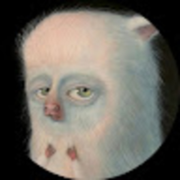 destiny11206